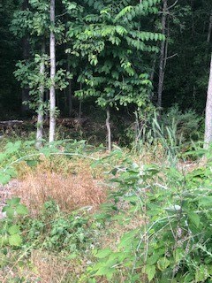 15 Reading Ln, Bella Vista, AR 72714 - photo 2