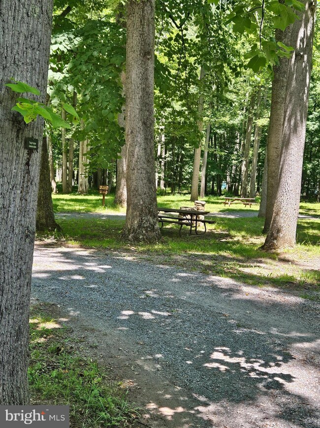 1631 Sideling Mountain Trail, Great Cacapon, WV 25422 - photo 7