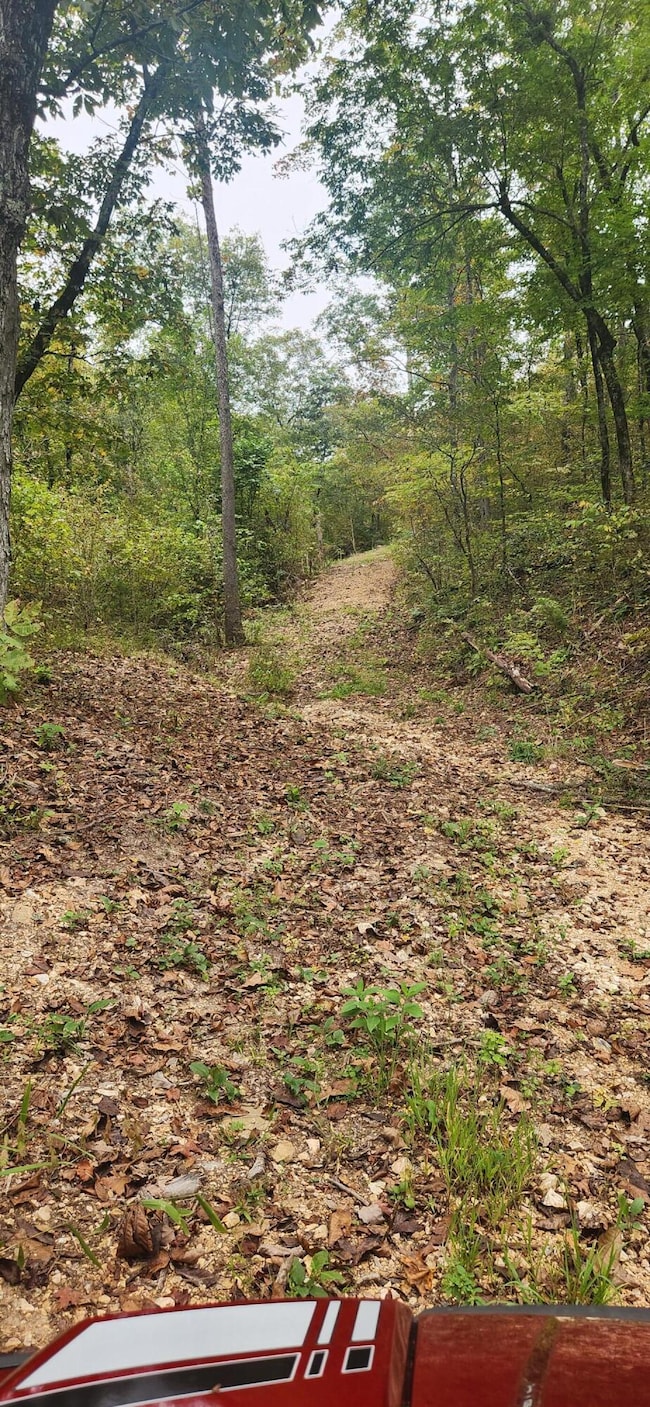 bear mtn 3