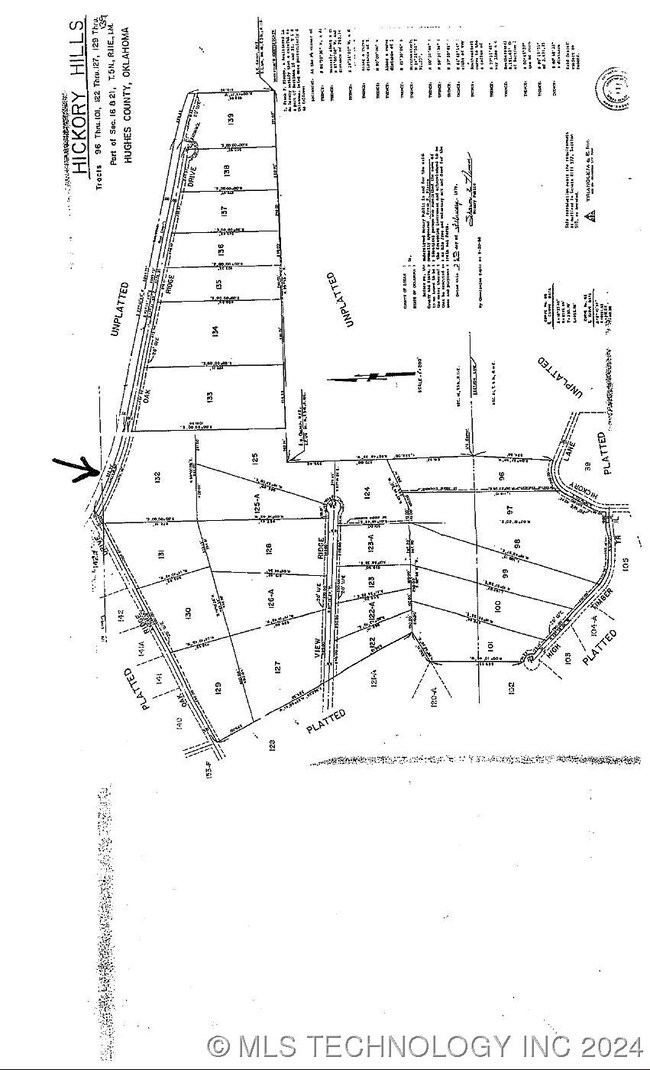 Lot 132 (where arrow is)
