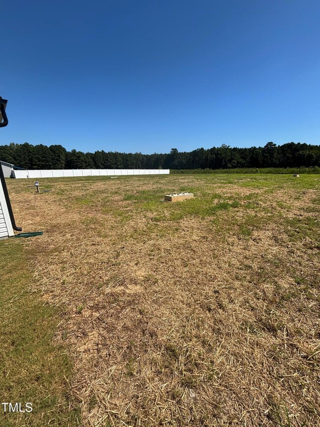 123 Pretty Run Branch Ln, Wendell, NC 27591 - photo 7