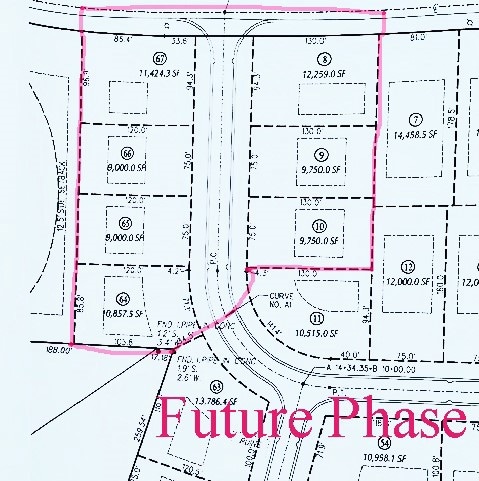 00 Division St, Palmyra, NY 14522 - photo 3