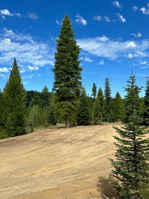 37 Challis Ln unit 13, Cascade, ID 83611 - photo 2