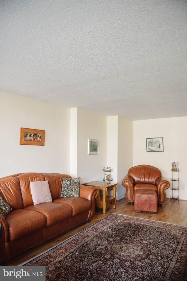 Mica Condominiums unit 206, Silver Spring, MD 20910 - photo 4