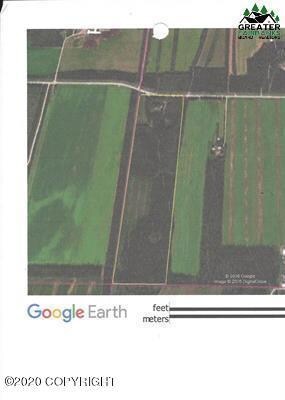 Tract C-3 Tanana Loop Rd, Big Delta, AK 99737 - photo 2
