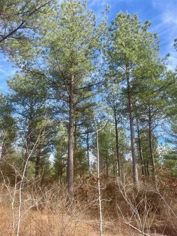 730 Timber Creek Trails South XI, Broken Bow, OK 74728 - photo 3