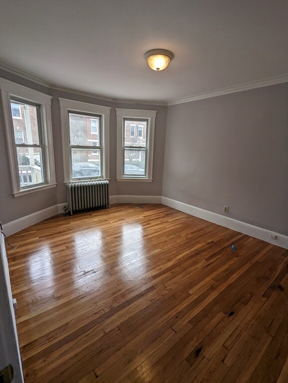 15 Ransom Rd unit 1, Brighton, MA 02135 - photo 5