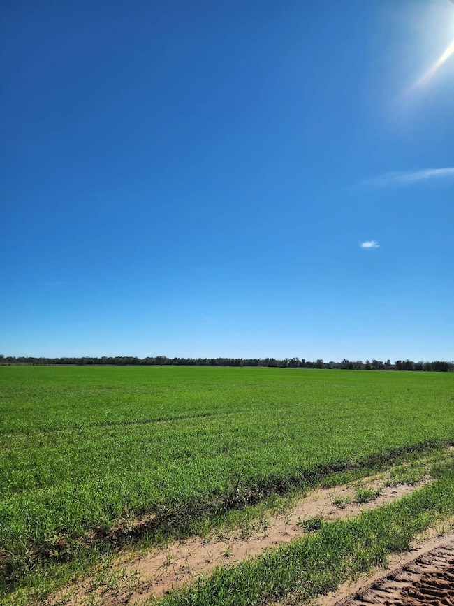 0 Lr 51 S, Foreman, AR 71836 - photo 6