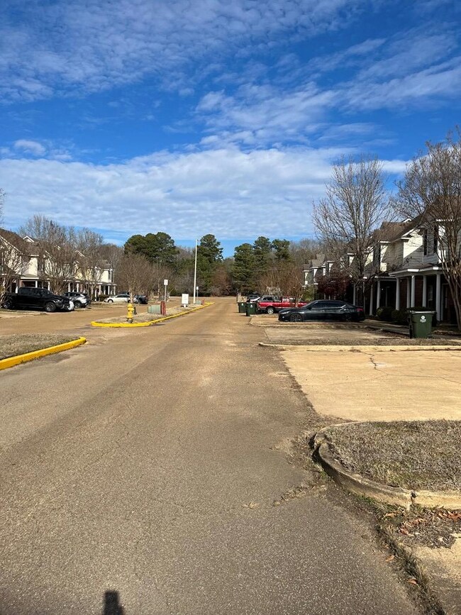 115 Greystone Blvd, Oxford, MS 38655 - photo 2