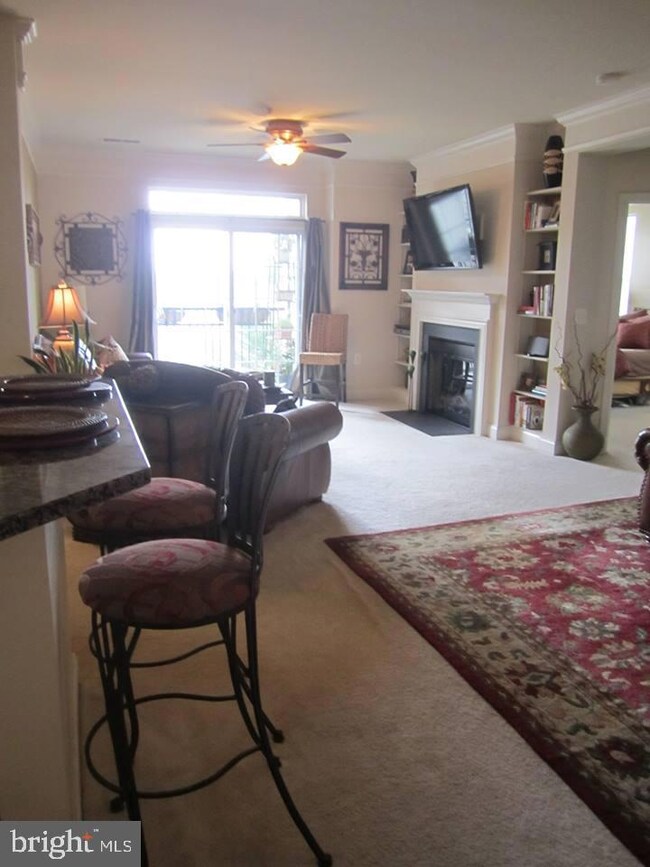 23620 Overlook Park Dr unit 203, Clarksburg, MD 20871 - photo 6