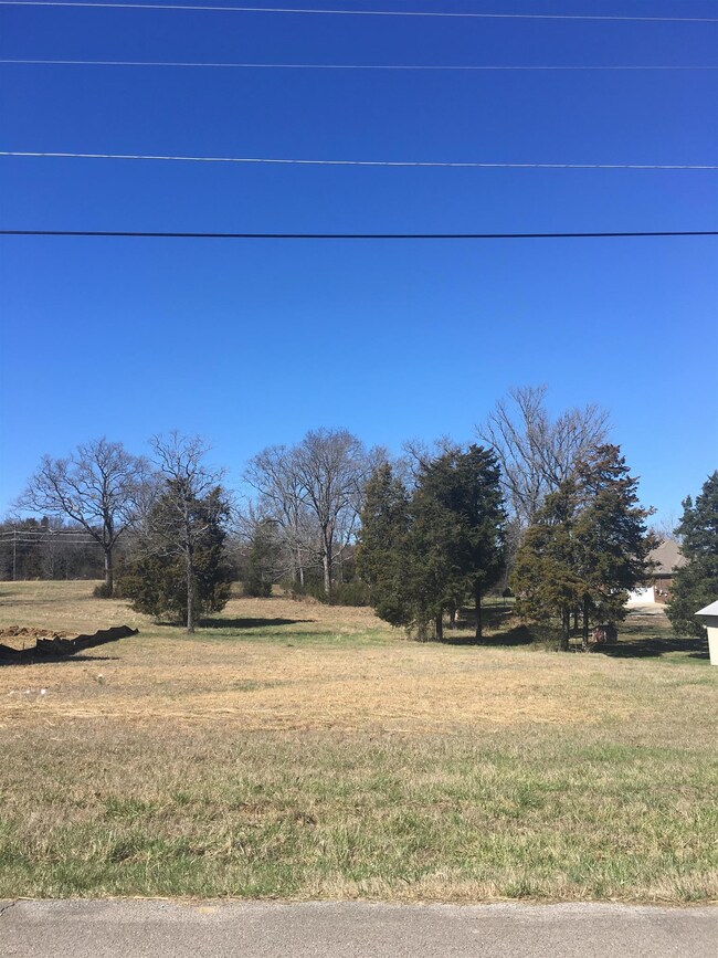 Your Future Dream Home!