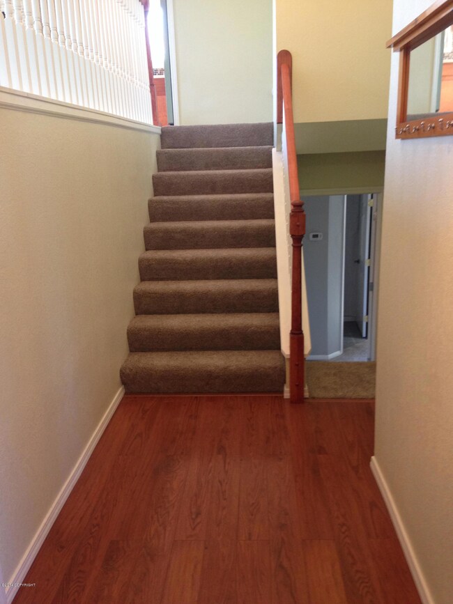 New laminate flooring in entry