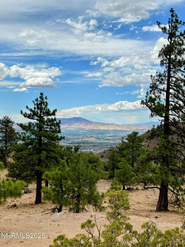 0 Geiger Grade unit 250053963, Reno, NV 89521 - photo 4