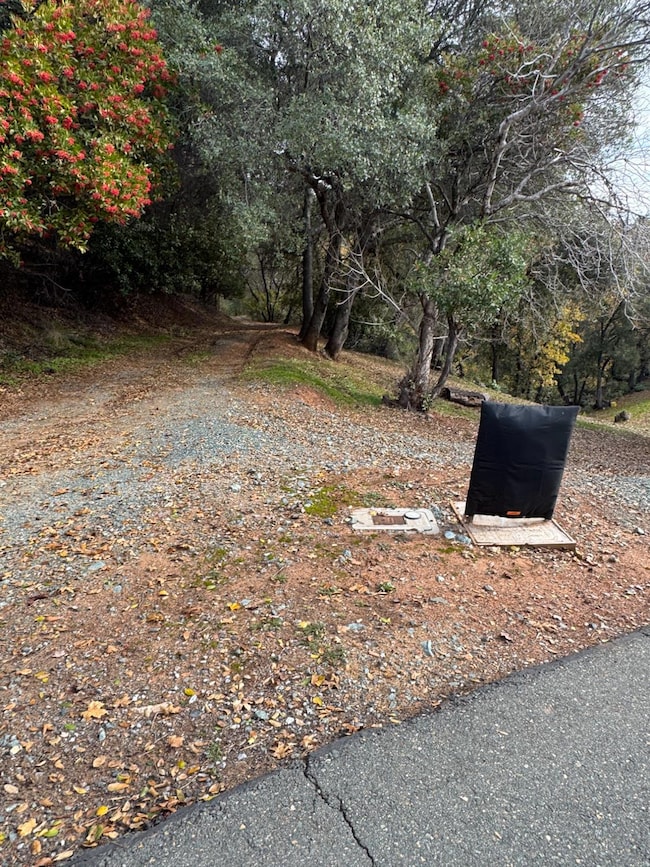 0 Bowman Rd unit 225148171, Pine Grove, CA 95665 - photo 2