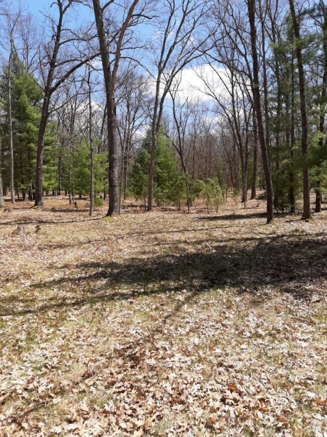 Grounds