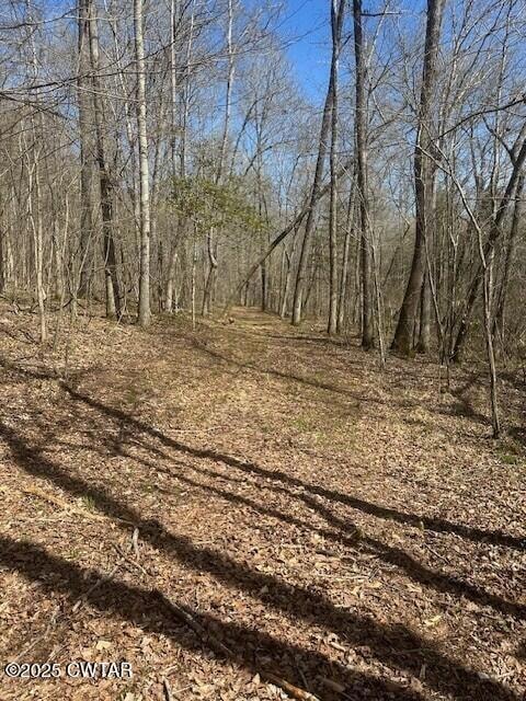 4489 Spring Creek Rd, Lavinia, TN 38348 - photo 5