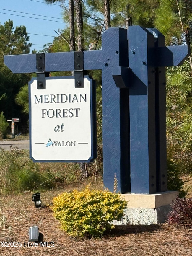 1613 Meridian Forest Dr SE, Bolivia, NC 28422 - photo 2