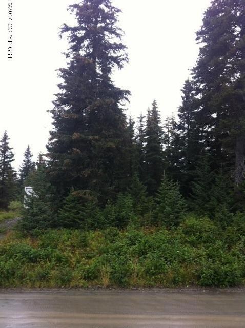 photo 2 (18)