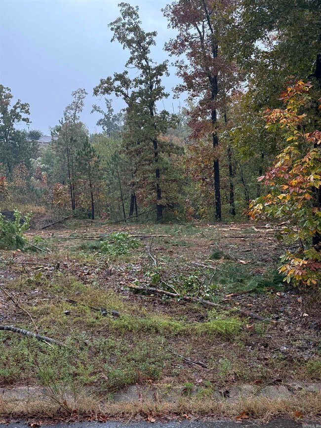 000 Palos Verdes Dr, Hot Springs, AR 71913 - photo 4