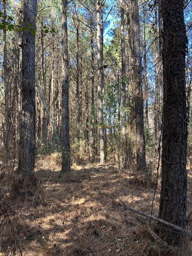 A-1-13 Elko Rd, Unadilla, GA 31091 - photo 2