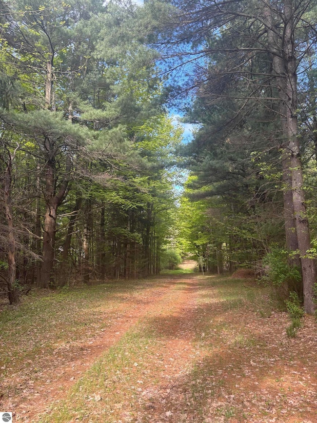 0 U S 31 unit 1940755, Kewadin, MI 49648 - photo 4