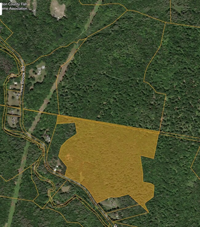 00 Willow Brook Rd unit 5, Plainfield, NH 03781 - photo 5