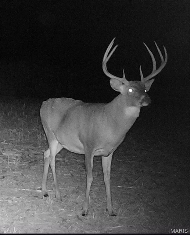 00 Union Grove Ave, Lagrange Township, IL 62246 - photo 7