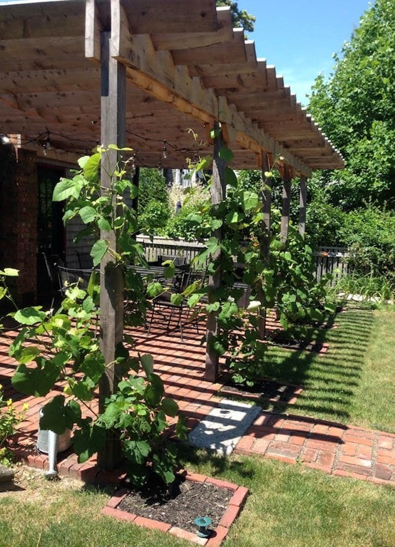 498 Old County Rd, Westport, MA 02790 - photo 6