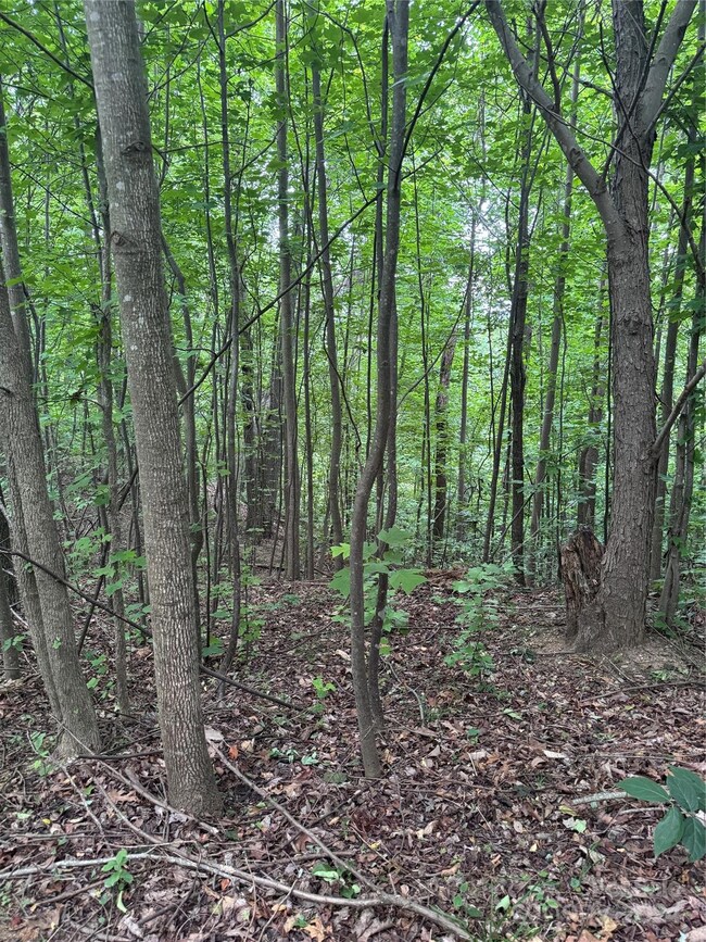 0 Holland Dr unit 18 CAR4146725, Columbus, NC 28722 - photo 3