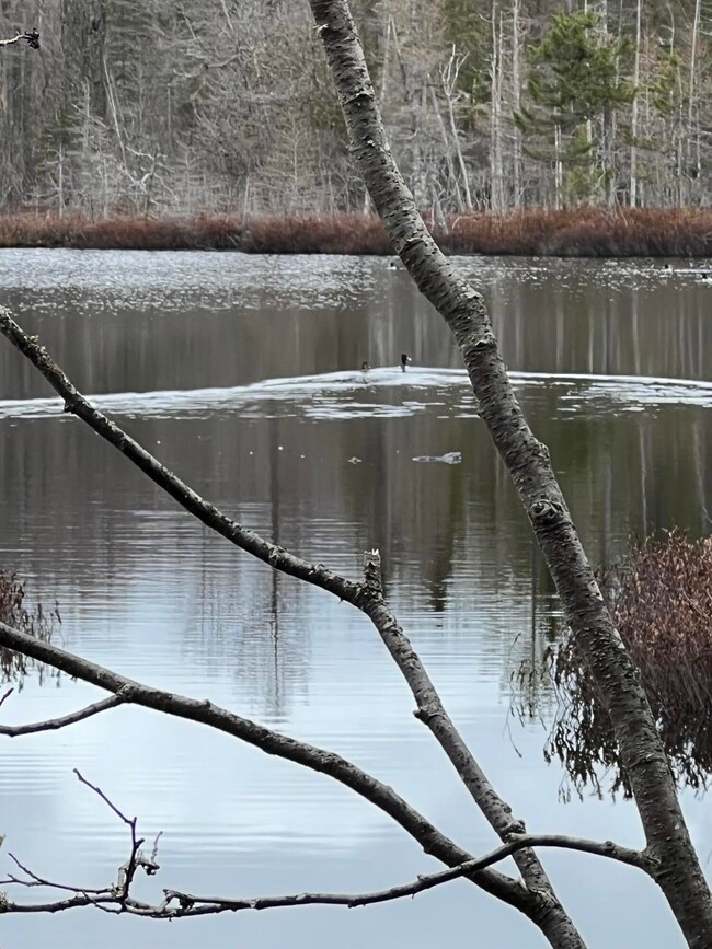 5455 N Tee Lake Rd, Germfask, MI 49836 - photo 4