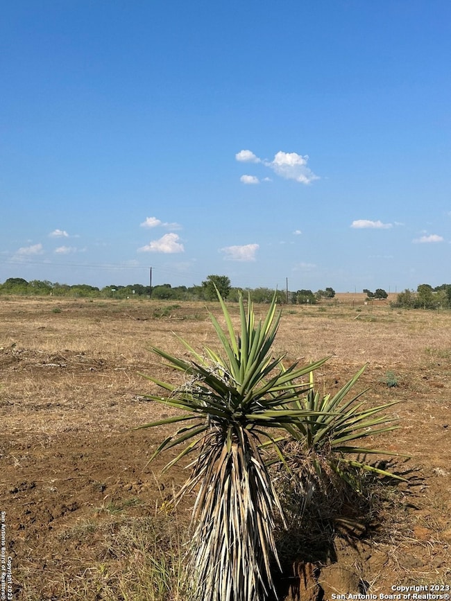 5894 Fm 1107 Unit B-Tract 1, Stockdale, TX 78160 - photo 2