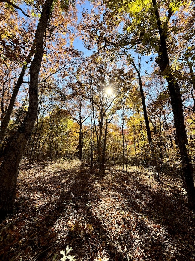 0 Harrison Ferry Rd unit RTC2813087, McMinnville, TN 37110 - photo 4