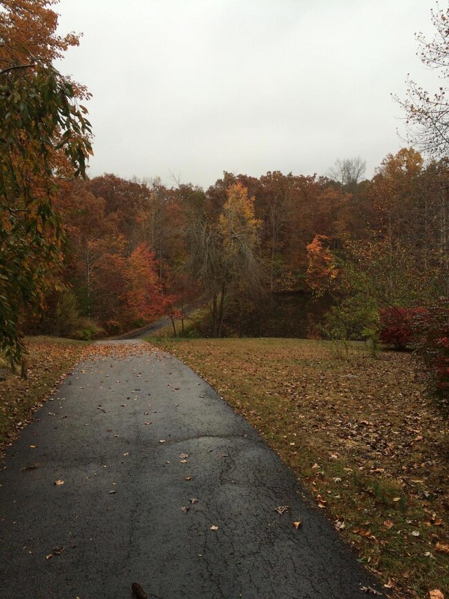 1728 Bell Rd, Crossville, TN 38571 - photo 3