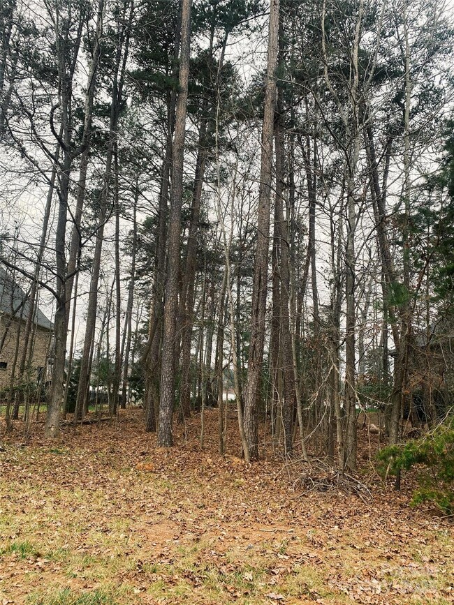 1538 Reflection Pointe Blvd, Belmont, NC 28012 - photo 2