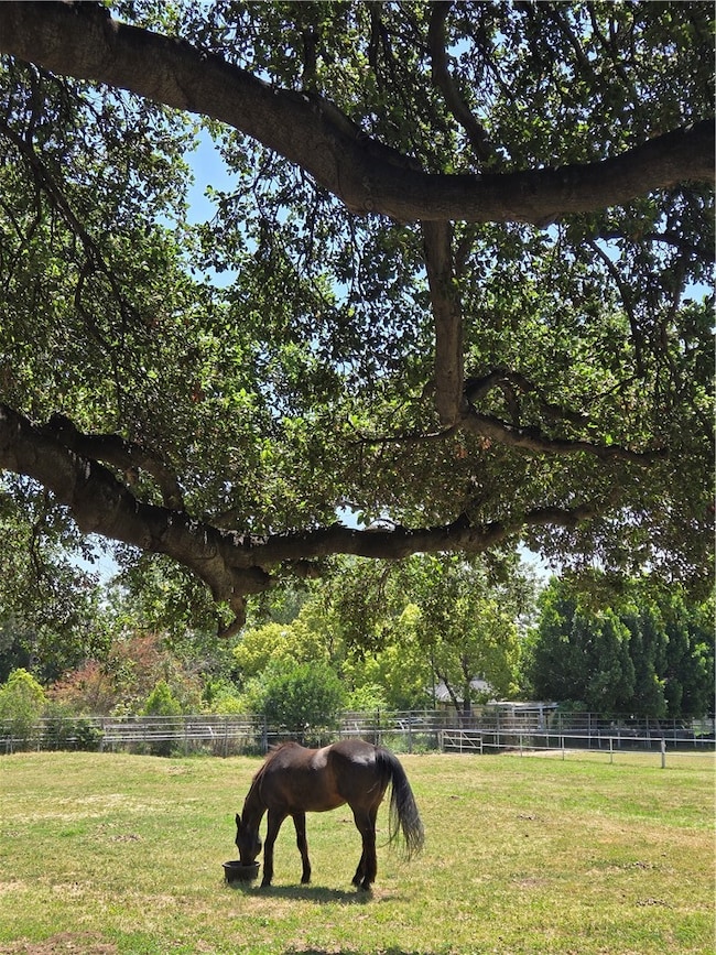 Carousel Image