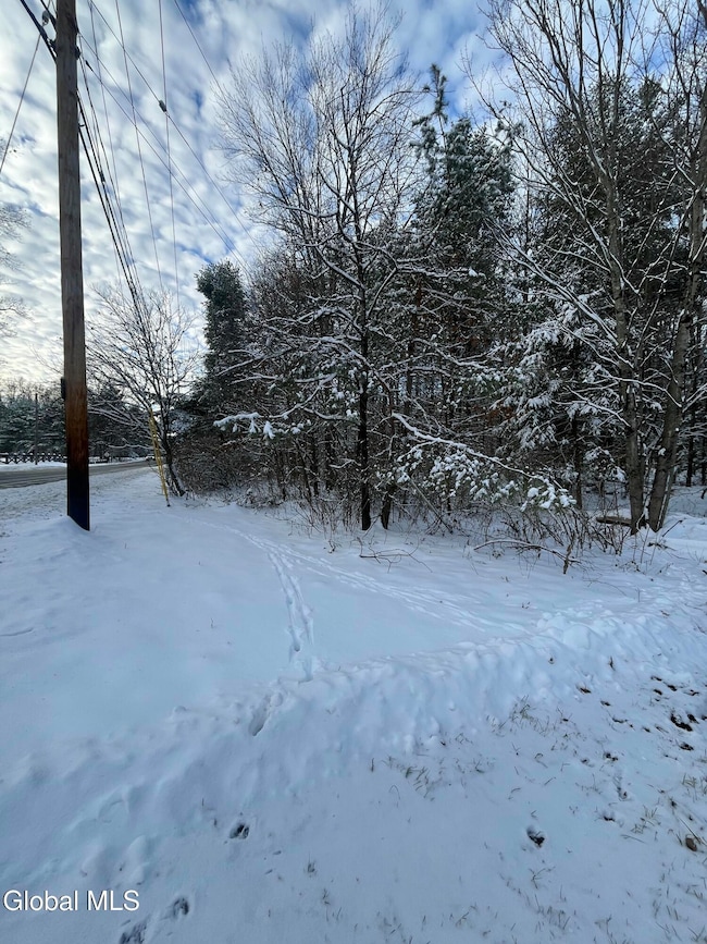 L 27.11 King Rd, Gansevoort, NY 12831 - photo 3
