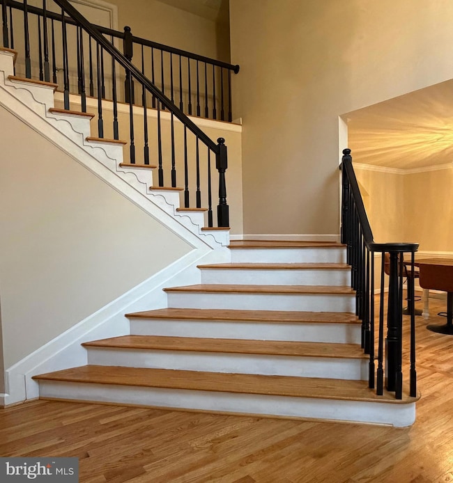 3409 Golden Creek Ct, Brandywine, MD 20613 - photo 2