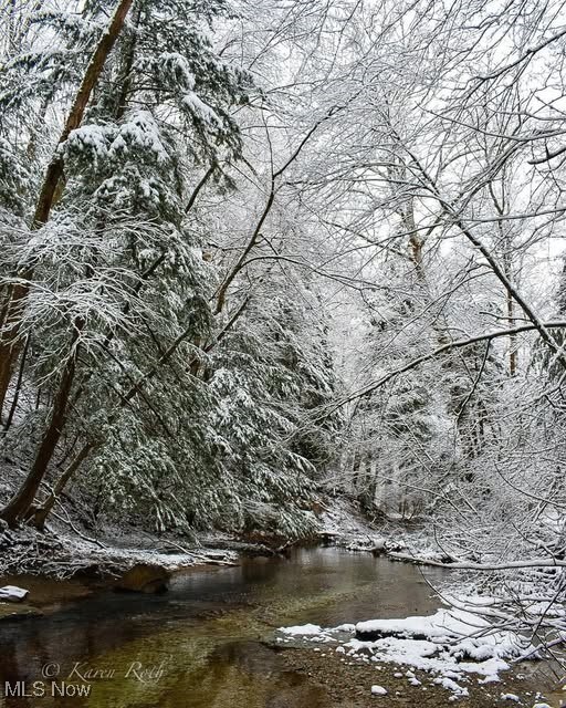 V/L Dock Rd, Madison, OH 44057 - photo 5