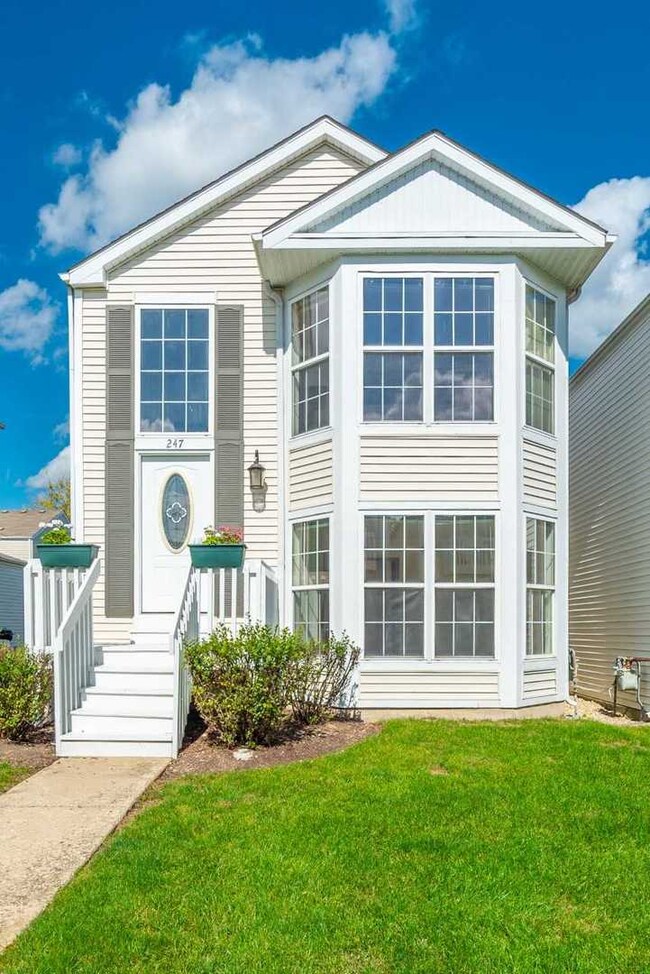 247 W Washington St unit 3265, Oswego, IL 60543 - photo 4