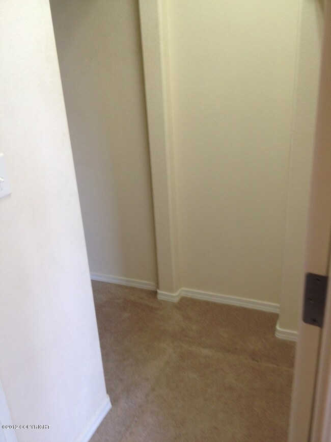 Under Stairs Storage/Crawl space entranc