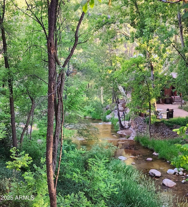 summer backyard creek