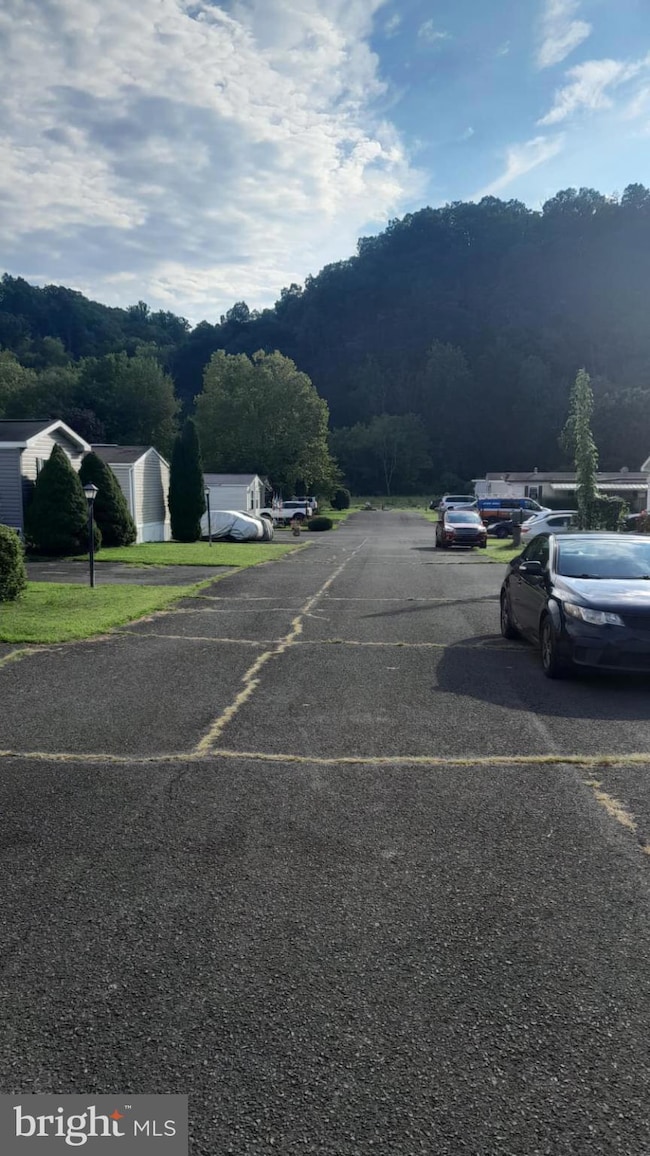 14 Red Cliff Village Ln, Upper Black Eddy, PA 18972 - photo 4