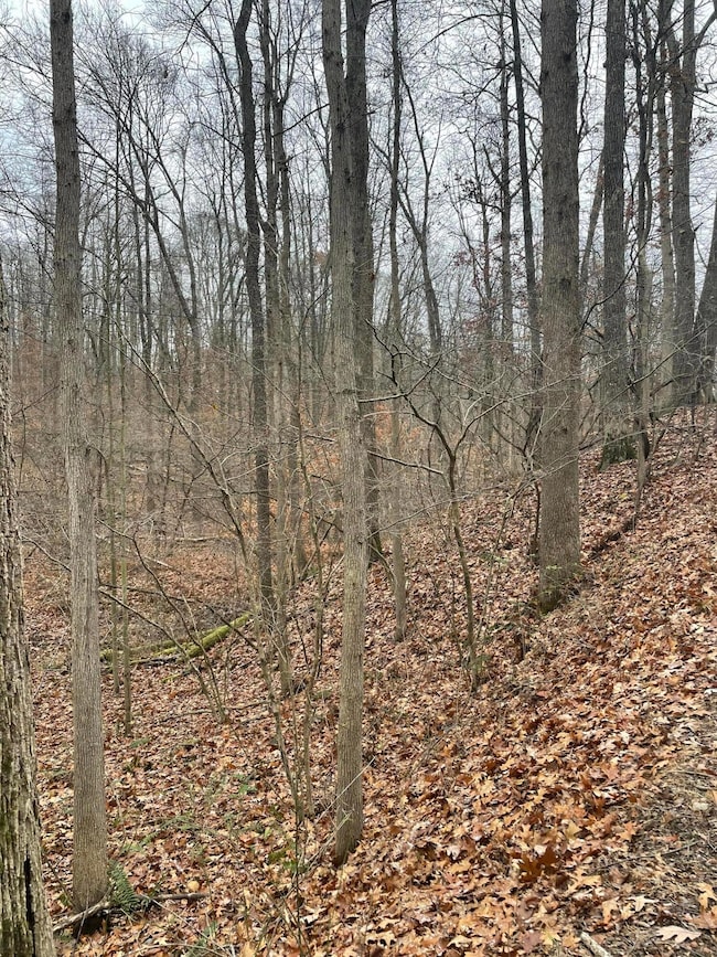 0 McKee Hill Rd unit 225044478, Frazeysburg, OH 43822 - photo 3