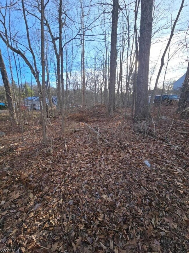 00 Linwood Rd, West Milford, NJ 07421 - photo 6