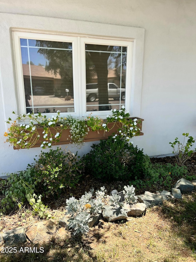 Window Planter