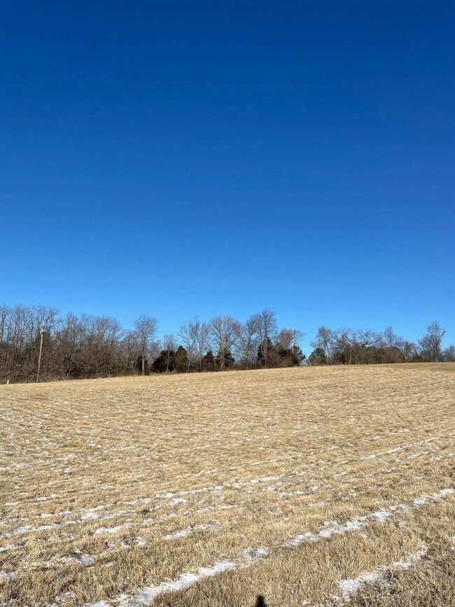 2 Songbird Cir, Nixa, MO 65714 - photo 3