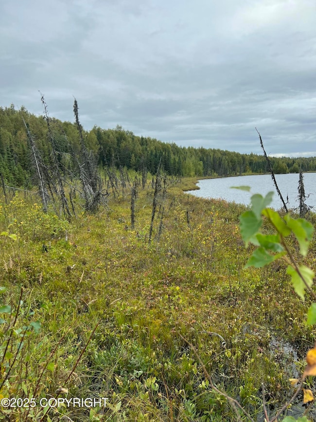 NHN W Hollywood Rd, Wasilla, AK 99654 - photo 2