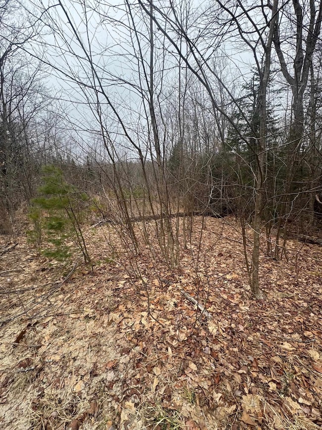 3225 George Hill Rd, Springfield, NH 03284 - photo 2