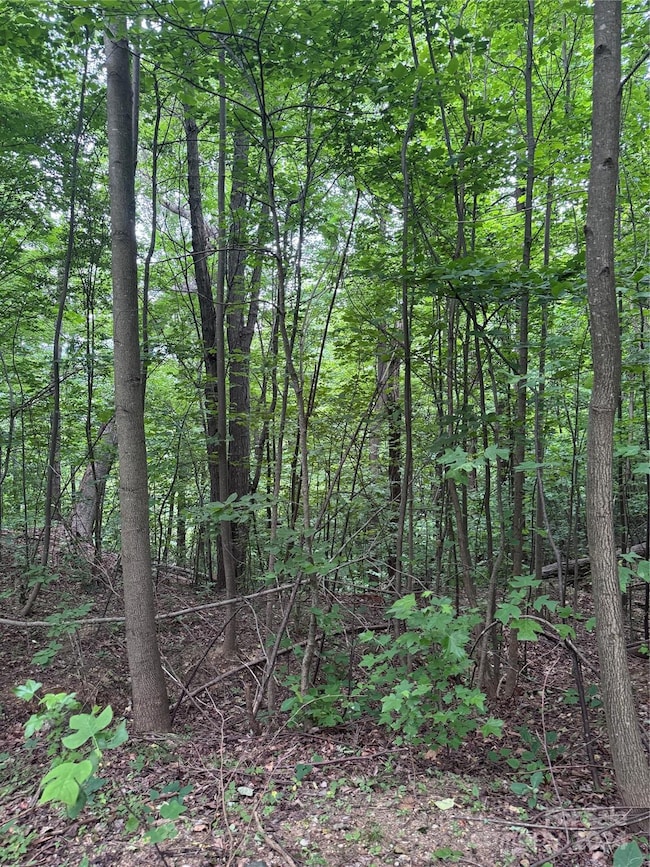 0 Holland Dr unit 18 CAR4146725, Columbus, NC 28722 - photo 7