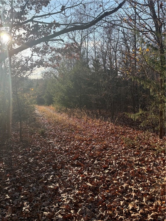 0 Gainford Dr unit 1328855, Bella Vista, AR 72714 - photo 3